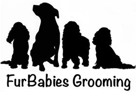 Fur Babies Grooming